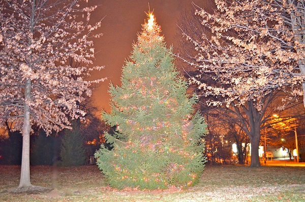 Annual Overlea Christmas Tree Lighting