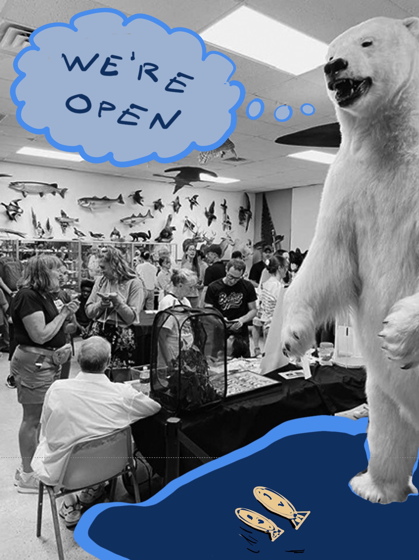 Polar bear with speech bubble - We're Open - Maryland Museum of Natural Sciences