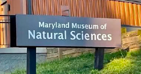 overlean-maryland-museum-of-natural-history